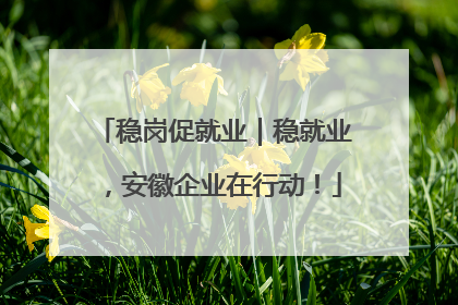 稳岗促就业｜稳就业，安徽企业在行动！